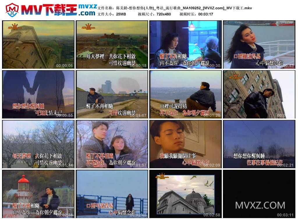 陈美龄-想你想你(人物)_粤语_流行歌曲_MA109252